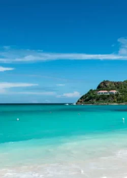 width_6001-ezgif.com-resize